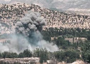 جوتیارو ئاژەڵداران لە دۆخی تۆپبارانی سنوورەكانی سیدەكان نیگەرانن