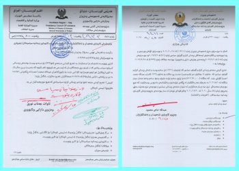 15 مووچە لەسەر یەک دەدرێتە توێژێک