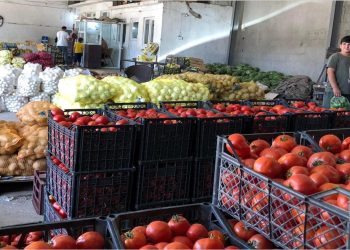 جووتیاران  رۆژانە دەیان تۆن بەرووبووم لە گومرگی سۆران ساخ دەكەنەوە