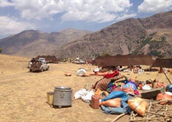 لە باڵەكایەتی لەترسی تۆپباران 95%ی مەردار و كۆچەرەكان ناوچەكانیان بەجێهێشتووە