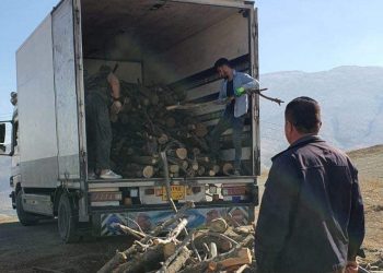 بەڕادێكی گواستنەوەی خۆراكیی، پڕ لە داری تەڕ دەستی بەسەر داگیرا