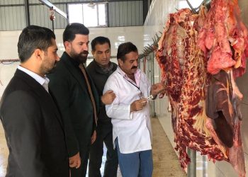 هەر گۆشتفرۆشێك لە بەیانییەوە بە پیكاب گۆشت بۆ دوكانەكەی بگوازێتەوە سزا دەدرێت