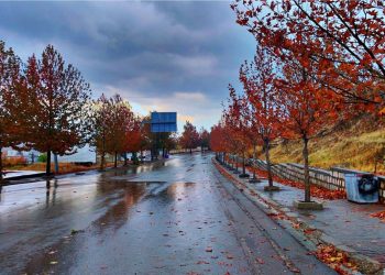 لە مێرگەسۆر زیاتر لە 170 ملم باران باریوە