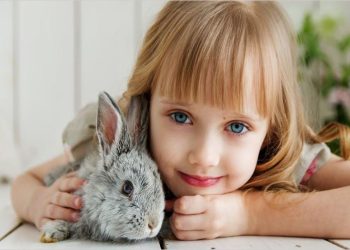 بۆچی منداڵان تا گەورەش دەبن دژی ئاژەڵانن؟