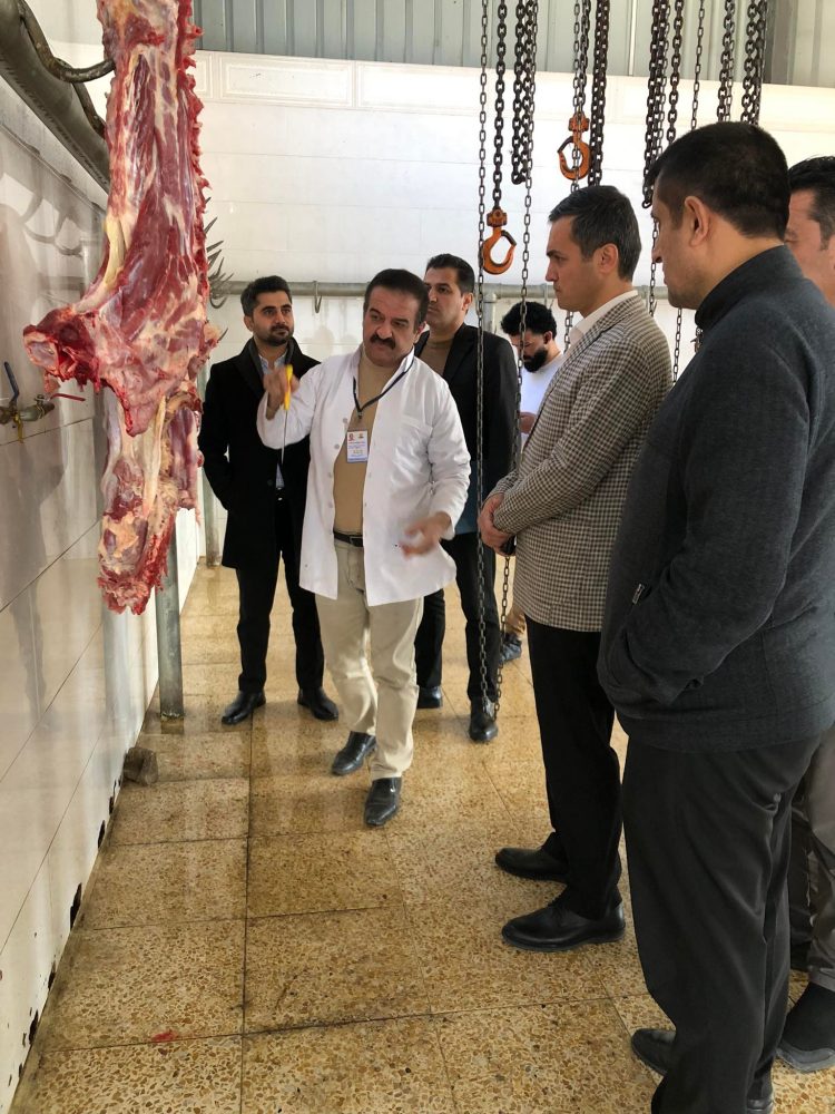 سێ لاشەی ئاژەڵ لەناوبردران
