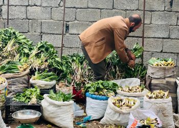 بازاڕی گیا بەهارییەكان گەرمە