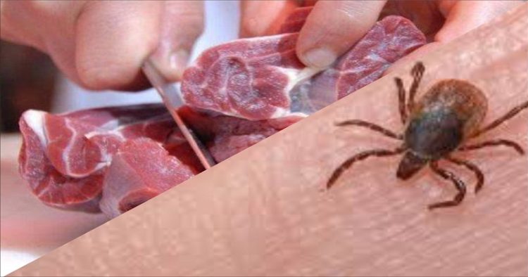لە بارەی تای خوێنبەربوون بەرپرسێكی سۆران هۆشداری دەدات