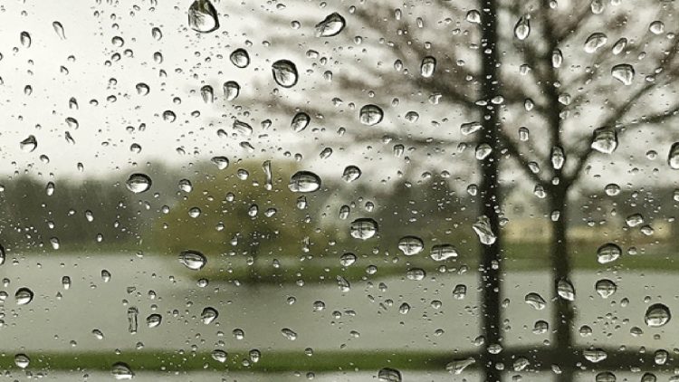 لە مێرگەسۆر 58 ملم باران باریووە