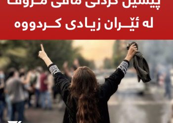 ” لە ماوەی یەک مانگدا ١٣٣ حوکمی لەسێدارەدان لە ئێران تۆمارکراوە”.