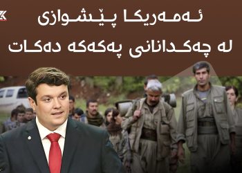 ئەمەریكا پێشوازی لە چەكدانانی پەكەكە دەكات