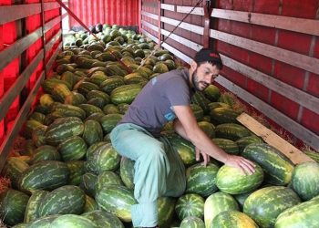 بەرپرسێكی روسیا : مەترسی شوتی ئیرانی وەك مینی دژە كەسییە