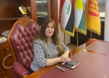 د. ڤیان سەبری: نەبوونی پارەی كاش بۆ مووچە خۆران ڕاست نییە