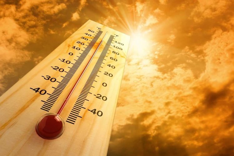 ئەمڕۆ یەكەم ڕۆژی وەرزی هاوینە