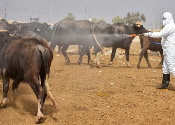حاڵەتێكی تای خوێنبەربوون لە سلێمانی تۆمار كرا