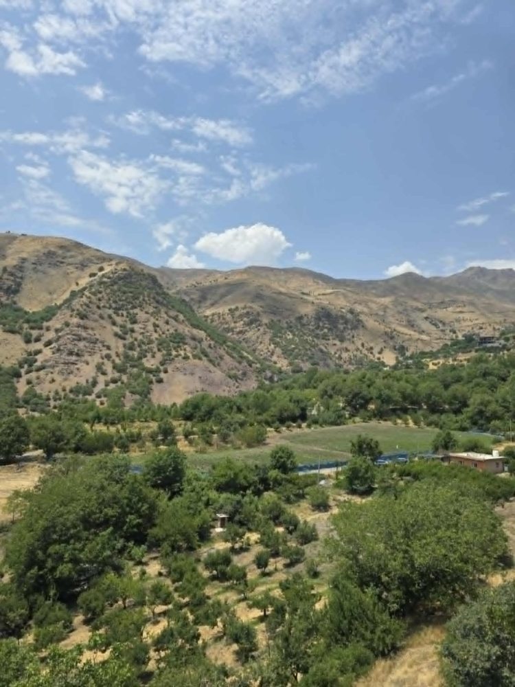 وشكەساڵی تەنگی بە كشتوكاڵی باڵەكایەتی هەڵچنیوە