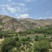 وشكەساڵی تەنگی بە كشتوكاڵی باڵەكایەتی هەڵچنیوە