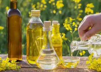 زەیتی تۆوی ڕووەکی لەڕووی زانستی پزیشكییەوە تەندروستە