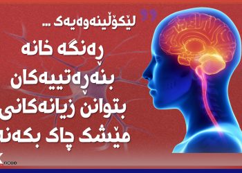 ڕه‌نگه‌خانە بنەڕەتییەکان جەستە بتوانن زیانەکانی مێشک چاک بكه‌نه‌وه‌