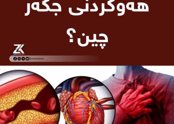 جگەر رۆڵێکی گرنگ دەبینێت لە جەستەی مرۆڤدا