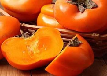 چی ده‌زانیت له‌باره‌ی سوودو زیانه‌كانی كاكی
