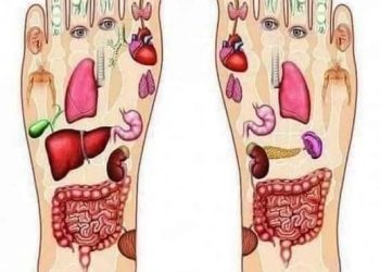 سوودی شێلانی ژێر پێیەکان بۆ تەندروستی