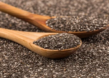 سوودەکانی تۆوی چیا