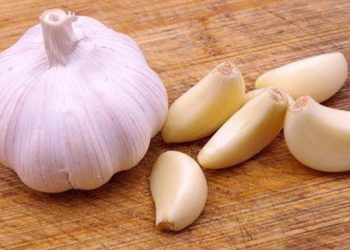 سوودەكانی خواردنى سیر بۆ جەستەی مرۆڤ