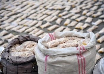 لە ماوەی سێ مانگدا؛ 900 كگم ماددەی هۆشبەر دەستی بەسەرداگیراوە