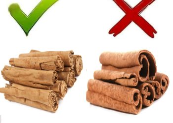 جیاوازی نێوان دارچینی (سیلان) و دارچینی (کاسیا) چیە؟