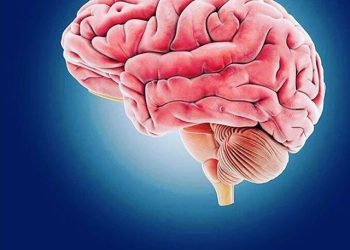 توانایەکی سەیر و سەمەرەی مێشک دۆزرایەوە
