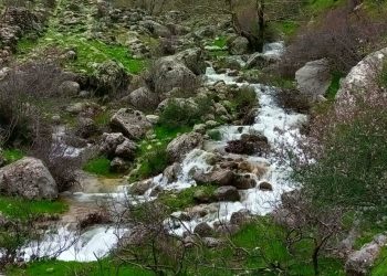لێکدانەوەیەکی فەرهەنگی بۆ وشەی “ڕەشەمێ” و “مێگر”: