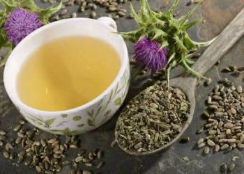 زانیاری گرنگ لەبارەی گیایەکی بەهارە