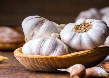 سوودە سەرسوڕهێنەرەکانی سیر