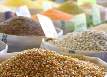 عێراق دووەم گەورەترین هاوردەکاری پاقلەمەنی تورکیایە