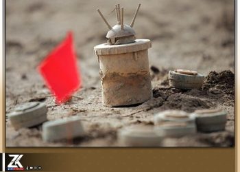 هاووڵاتییەك بەرمین كەوت