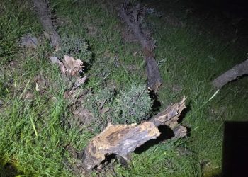 هاووڵاتیەك دەستگیر كراو دەستیش بەسەر ئۆتۆمبێلەكەی داگیرا