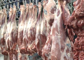 وەزارەتی کشتوکاڵ هۆکاری گرانبوونی نرخی گۆشت رووندەکاتەوە