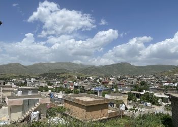 قارەمان شێخۆ : ئاوی سیدەکان تەندروستە و گرفتی نییە