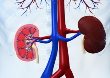 دەرمانێکی پزیشکی تایبەت بە نەخۆشانی گورچیلە بۆ سۆران دابین دەکرێت