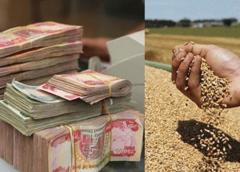 پارە بەسەر جوتیاران دابەش دەکرێت