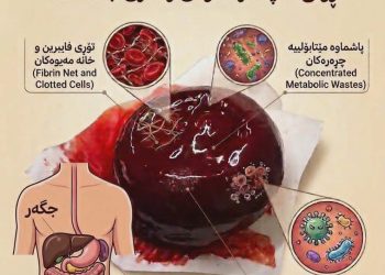 پێکهاتەی زانستیی خوێنی کەڵەشاخ و ڕۆڵی لە پاککردنەوەی ژەهری جەستەدا