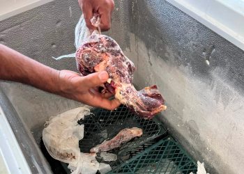 بەڕێوەبەرایەتی خۆپاراستنی تەندروستی سۆران داوایەك لە هاووڵاتییان دەكات