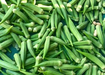 سوودەکانی بامیە