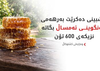 وەزارەتی کشتوکاڵ: بەرهەمی هەنگوینی کوردستان بە رێژەی 20% زیادی کردووە