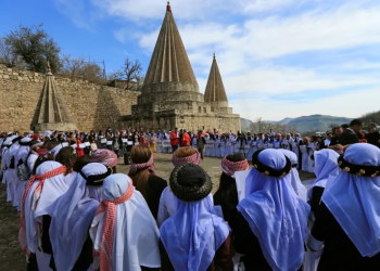 شنگال و خولگەی تەعریب