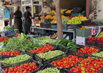 بەرهەمی کشتوکاڵی هەرێم بازاڕەکانی عێراقی تەنیوە؛ ڕۆژانە ٦ هەزار تۆن هەناردە دەکرێت