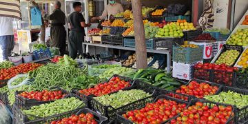 بەرهەمی کشتوکاڵی هەرێم بازاڕەکانی عێراقی تەنیوە؛ ڕۆژانە ٦ هەزار تۆن هەناردە دەکرێت