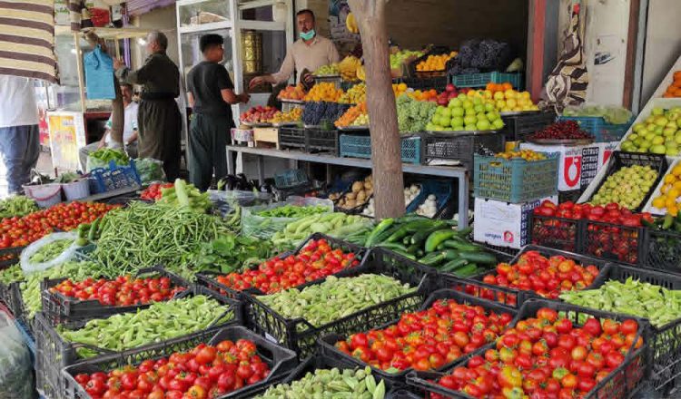 بەرهەمی کشتوکاڵی هەرێم بازاڕەکانی عێراقی تەنیوە؛ ڕۆژانە ٦ هەزار تۆن هەناردە دەکرێت