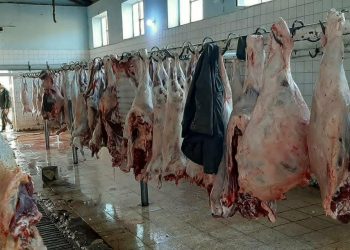 گۆشتفرۆشێک: هەرزانترین گۆشتی سوور لە شاری سۆرانە