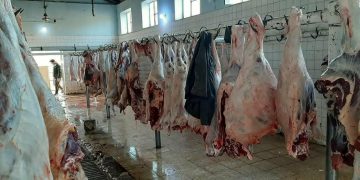 گۆشتفرۆشێک: هەرزانترین گۆشتی سوور لە شاری سۆرانە